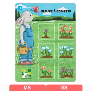 Fleurs à compter