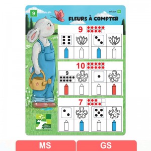 Fleurs à compter - Extension du jeu