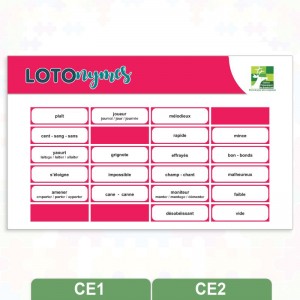 Jeu d'orthographe - LOTONYMES