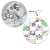 Puzzle Les deux-roues