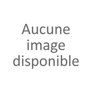 MEMOLUDIC AUDITIF